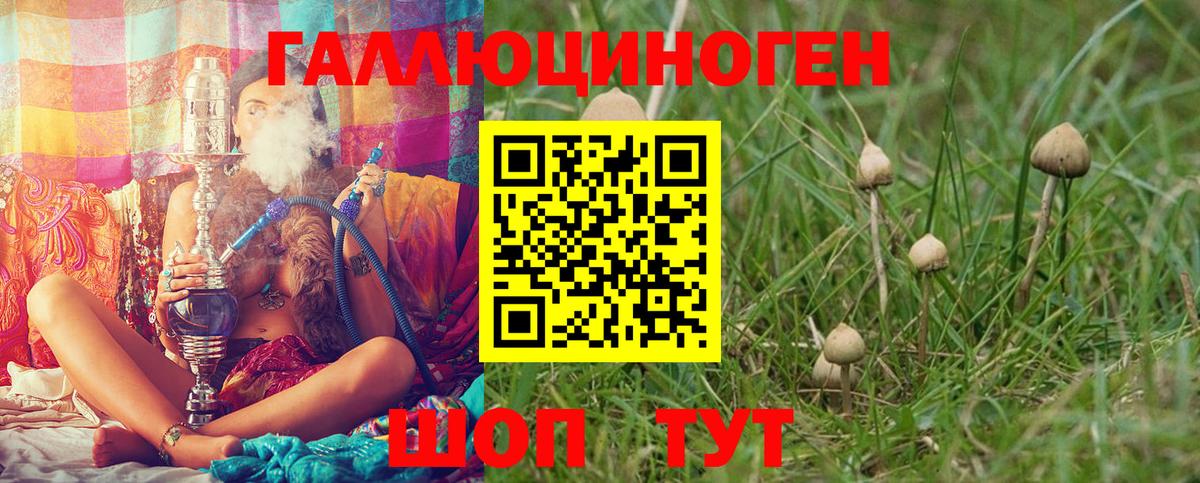 Соль-Илецк  Галлюциногенные грибы Psilocybe  купить наркотики сайты  Вход с VPN 