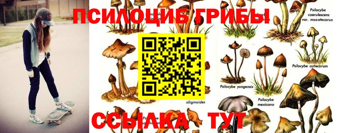 Галлюциногенные грибы ЛСД Соль-Илецк